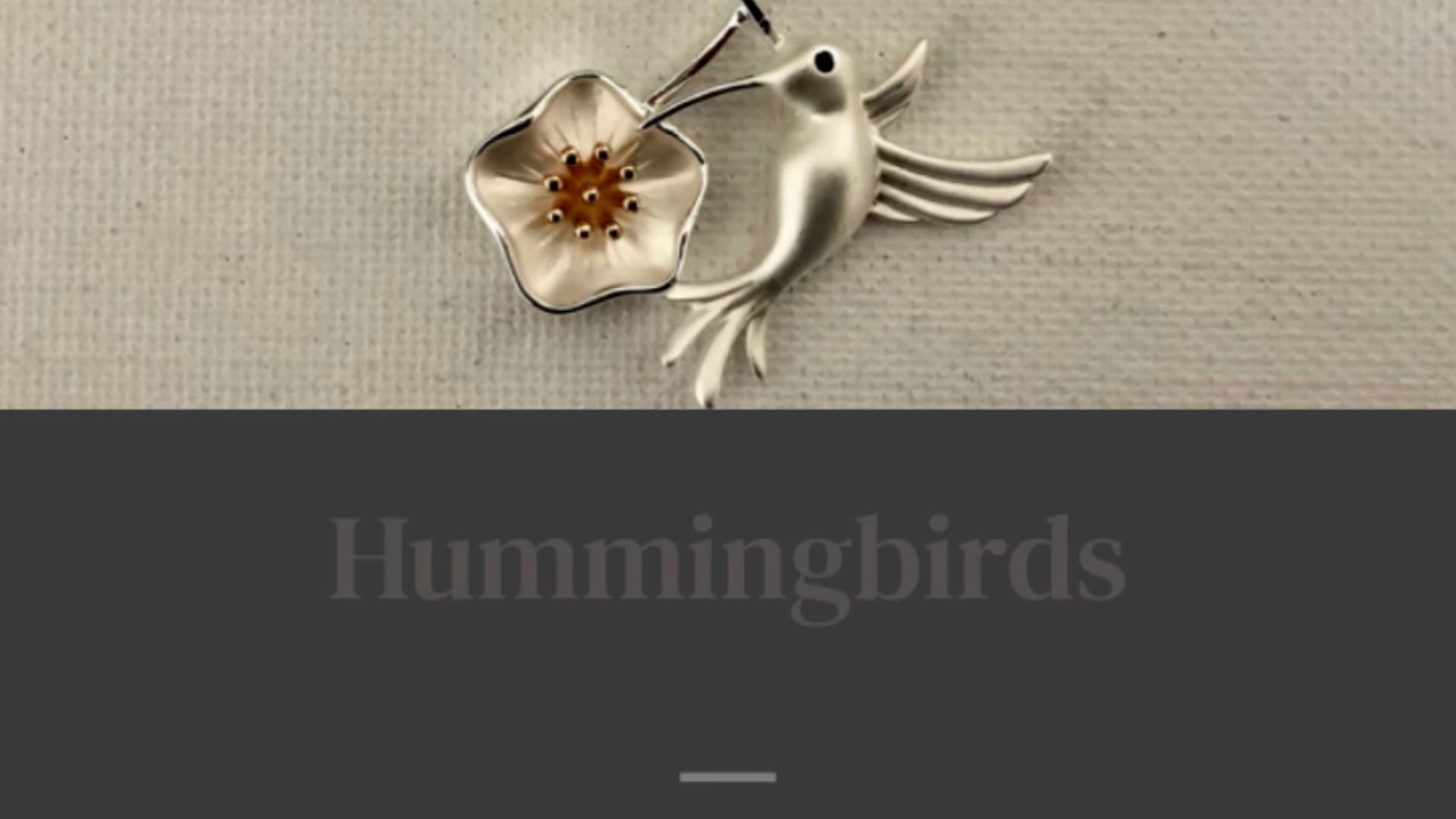 Carol Young Silver - Hummingbird Jewlelry